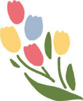 A bundle of cute tulips in three colors