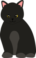 Fashionable cat illustration (British shorthair)