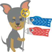 Miniature-Pinscher (dog) is a cute animal with a carp streamer