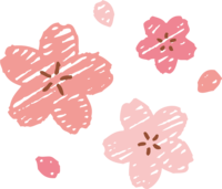 クレヨンタッチの桜の花びら-おしゃれ