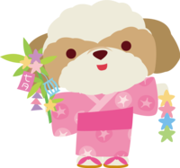 Shih Tzu (Dog) Tanabata-Cute Animal