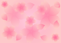 桜の花-背景(ふんわり系)
