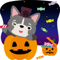 ハロウィン(かぼちゃとキャンディ)フレンチ-ブルドッグ(犬)のかわいい動物