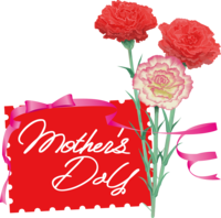 Red impact character (mother's-Day) Carnation illustration Mother's Day