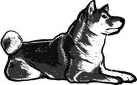 白黒柴犬の木版画