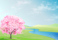 満開の桜の木と川が流れている背景