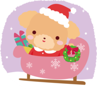 Toy Poodle (dog) Santa Claus Christmas cute animal