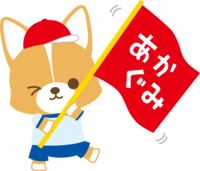 Corgi (dog) athletic festival (supporting by waving the red group flag) Animals