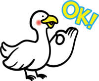 Duck OK