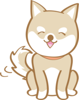 Cute Shiba Inu (smile) dog
