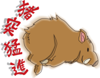 Cool wild boar rushing wild boar-2019 Zodiac (Year of the pig)
