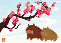 New Year's card background of cute plum blossoms and wild boars