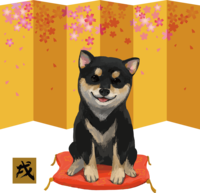 Shiba Inu-Black-haired Mameshiba (gold folding screen) Year of the dog 2018 Zodiac