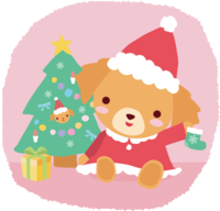 ゴールデン-レトリーバー(犬)サンタクロースのクリスマスかわいい動物