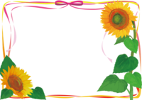 丝带和向日葵的花框架插图(时尚漂亮的真实篇