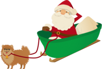 Fashionable (Pomeranian pulling a sled) Santa Claus