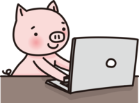Cute pigs type on a computer