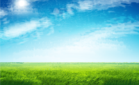 Realistic and beautiful sky and vast meadow-background