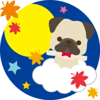 Pug (dog) 15 nights (seeing the moon in the autumn leaves) Animal