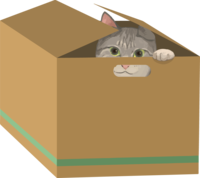 Cat (mixed hybrid with tiger pattern) Enter a narrow space and peek