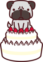 Pug (dog) sits on a two-tiered birthday cake-a cute dog