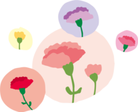 Cute carnations in circles of various colors