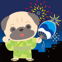 An animal in which a pug (dog) looks up at the night sky at a fireworks display