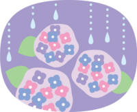 椭圆绣球花和雨滴