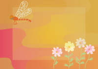 大波斯菊(和风红蜻蜓红和橙色)花的背景