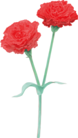 漂亮的红色康乃馨插图(2朵向上