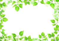 (cool and refreshing) background of cute leaves surrounding