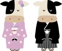Male and female cows wearing kimono and bowing on two legs-2021-Cute Ox Year