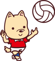 Dog volleyball-Olympic competition-Sports