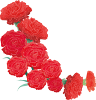 Fashionable and beautiful carnation illustration (lower left corner decoration