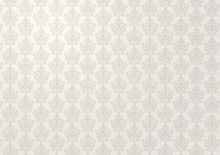 Damask pattern (simple white white) background illustration / pattern