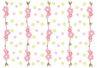 Cherry blossoms blooming on dots and branches / Spring background