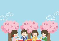 Background illustration of children's cherry blossom viewing / Spring