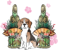 Year of the Dog-Beagle Japanese Style (Kadomatsu) 2018 Zodiac Illustration-Sit Sideways