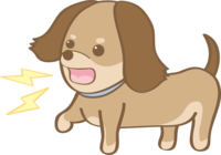 Cute dachshund (barking) dog