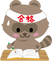 たぬきが受験勉強