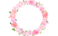 Pink rose surrounded by a circle-Frame material-Decorative frame background