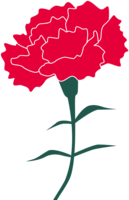 One red fashionable carnation