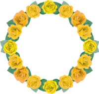 Yellow (Yellow) Rose round frame Frame
