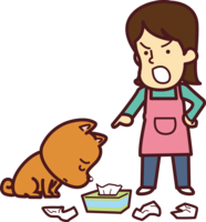 Cute dog that is mischievous and angry