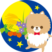 Pomeranian (dog) full moon (with autumn flowers) animal