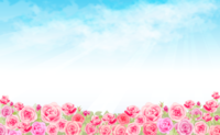 Rose-Background