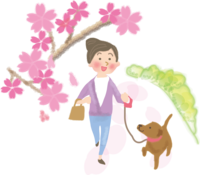 Cherry-blossom viewing dog outing walk-Illustration / Spring