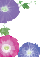 Fashionable and large morning glory frame frame