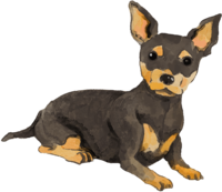 Miniature-Pinscher (sitting) Dog's real cool