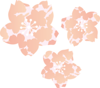 Cherry blossom petals with cherry blossom pattern-fashionable